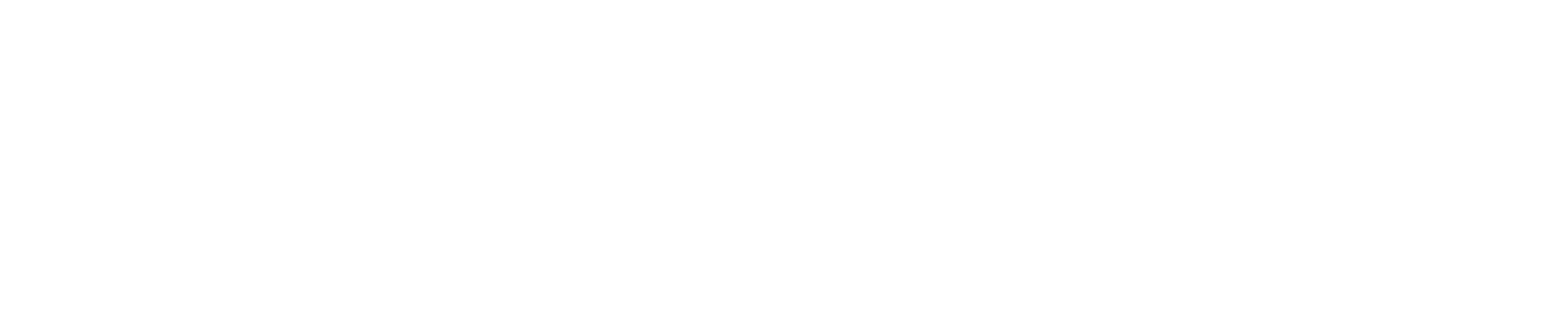 Habitus City of Elmnia